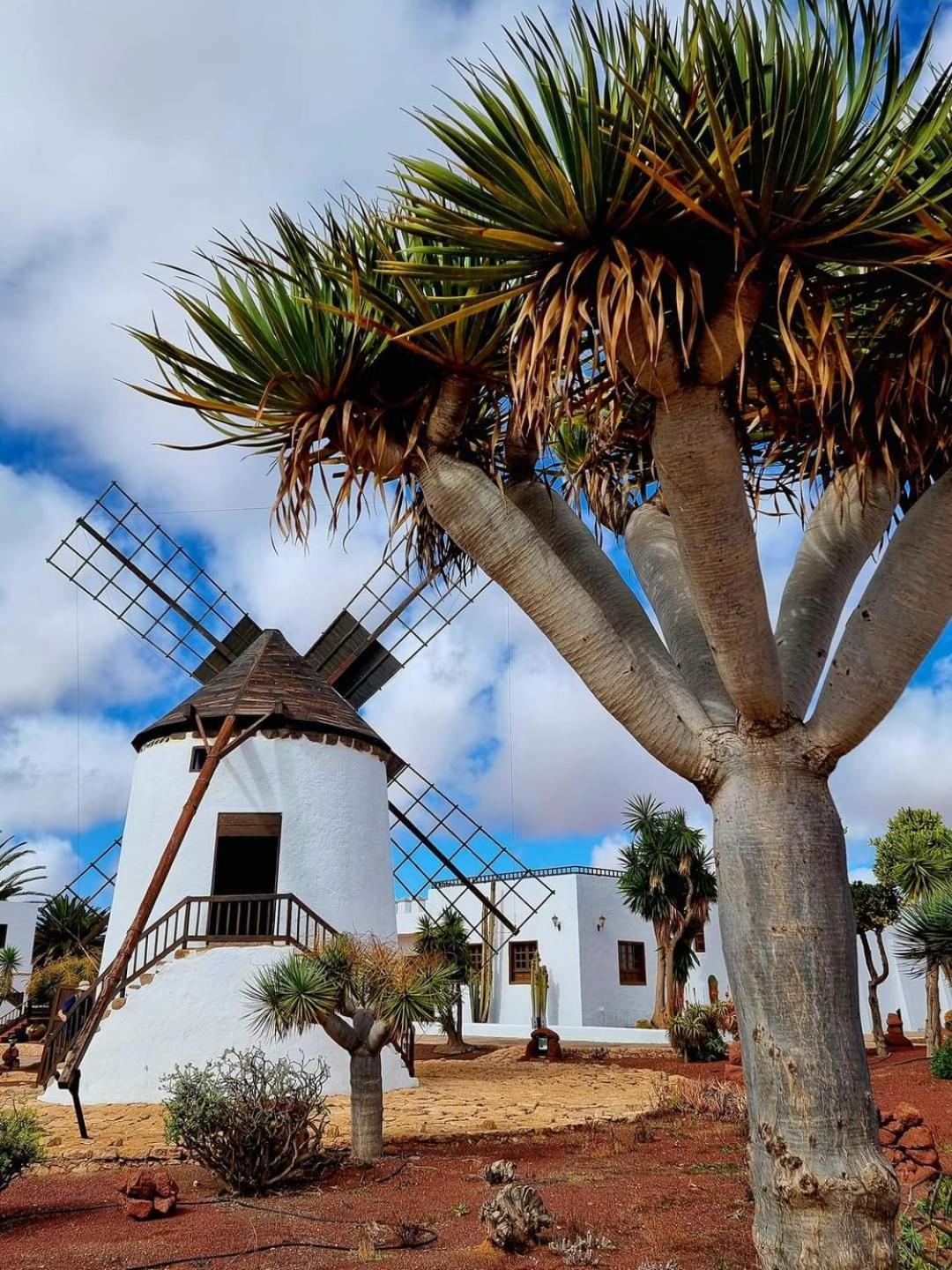 Casa Del Mar Air-Conditioned Apartment With Swimming Pools - Corralejo Playa 外观 照片